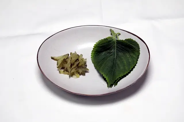 3단계 사진