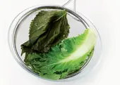 1단계 사진