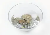 4단계 사진