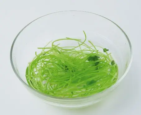 1단계 사진