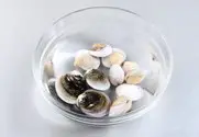1단계 사진