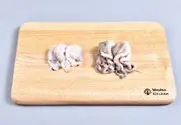 1단계 사진