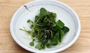 5단계 사진