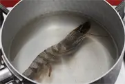 4단계 사진