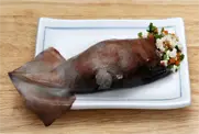 5단계 사진