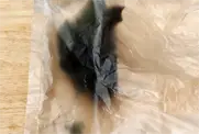 5단계 사진