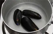 2단계 사진