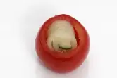 5단계 사진