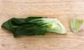 4단계 사진