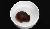 1단계 사진