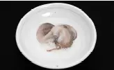 3단계 사진