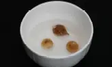 2단계 사진