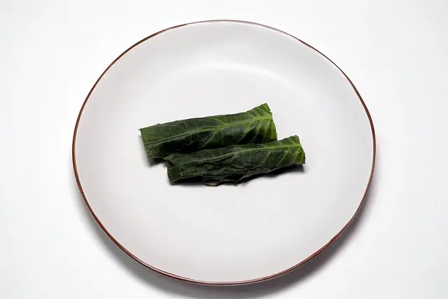 5단계 사진
