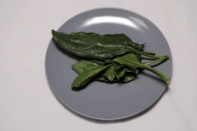 2단계 사진
