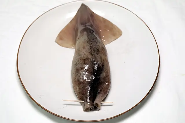 3단계 사진