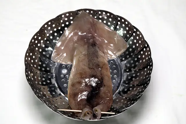 4단계 사진