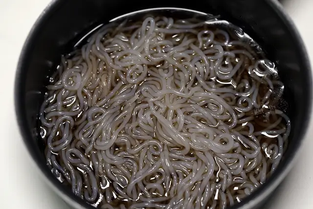5단계 사진
