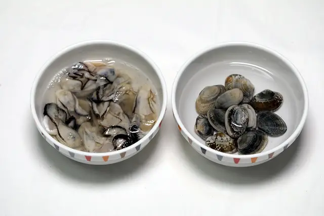 2단계 사진