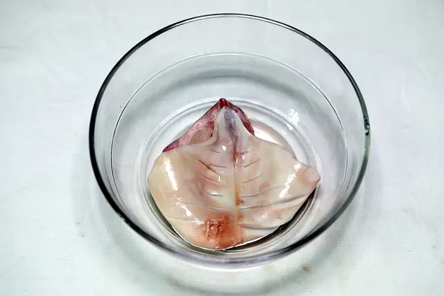 3단계 사진