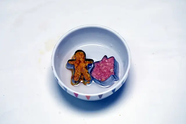 6단계 사진