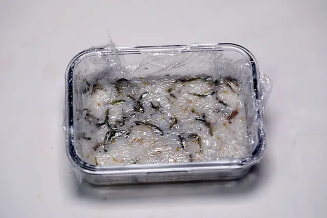 3단계 사진